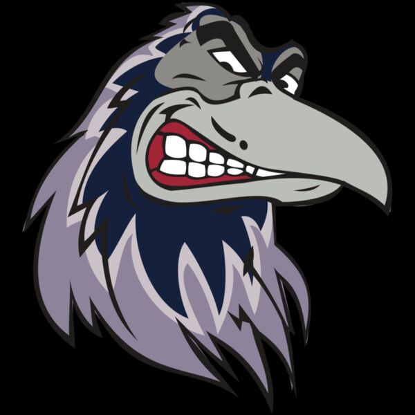 RAVEN HD0504 RQC Thumbnail