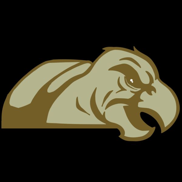 AR5 Turtle 02 RQC Thumbnail